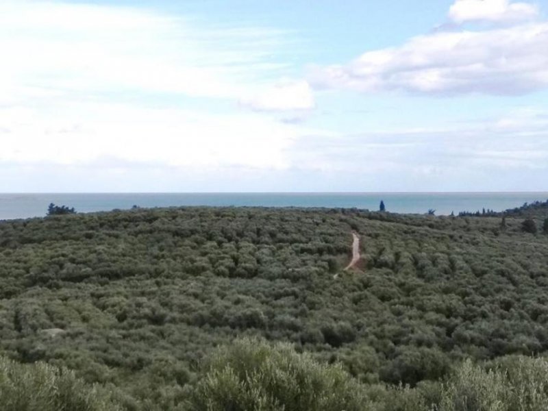 Kalyves Kreta, Kalyves: Land mit großartigem Meerblick in Apokoronas zum Verkauf Grundstück kaufen